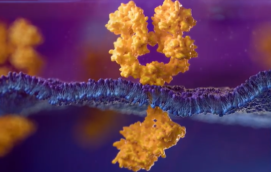 FLAURA2: toxiciteit van osimertinib plus chemotherapie is het hoogst in het begin en neemt daarna af<i class='restricted-content fa fa-lock'></i>